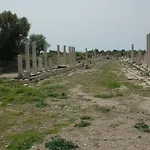 Begonville 4*