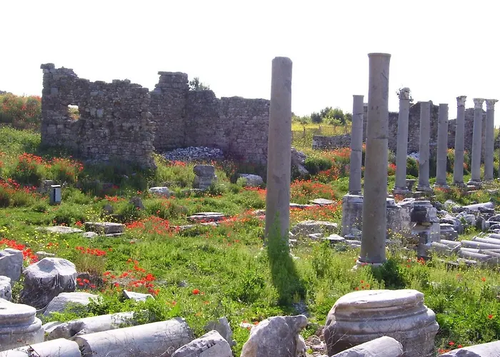 贝格安维尔公寓式酒店 4*