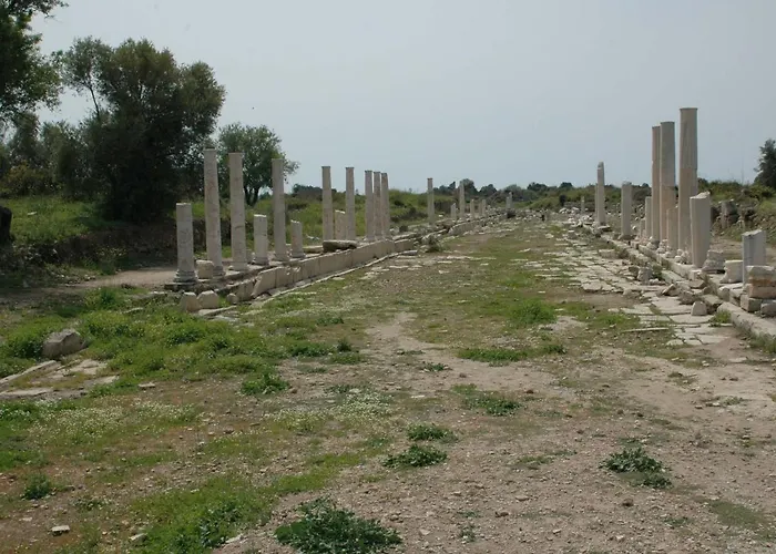 贝格安维尔公寓式酒店 4*